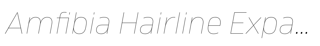 Amfibia Hairline Expanded Italic